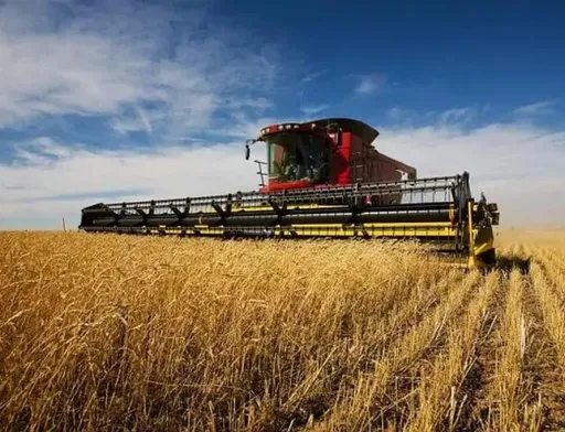 Агросектор продовжує забезпечувати виробництво та експорт продукції, – Тарас Висоцький