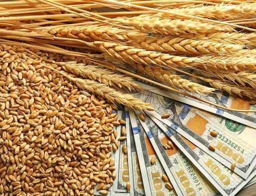 Тарас Висоцький закликав ЄС підтримати безперебійний агроекспорт