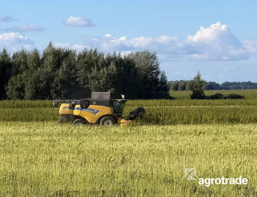 Група АГРОТРЕЙД завершила збирання технічних конопель