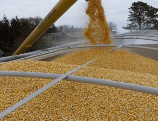 Україна з початку вересня експортувала 1,6 млн тонн агропродукції