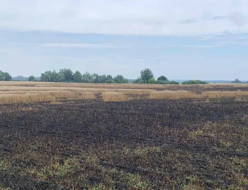 Нові види втрат від війни в міжнародному Реєстрі збитків