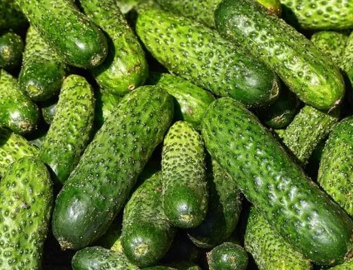 Ціни на огірки зростають через скорочення пропозиції