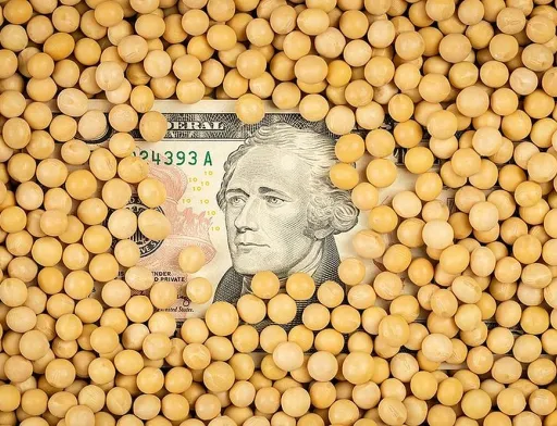Попит на сою перевищує активність продавців