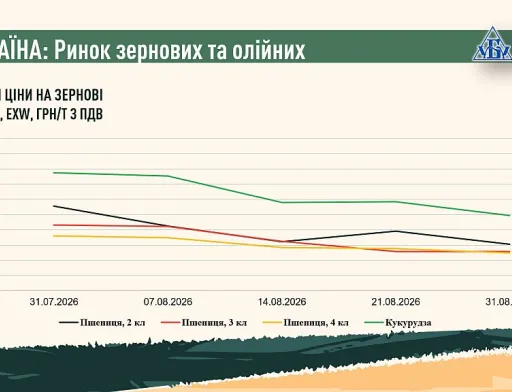 Підсумки серпня на ринку зернових та олійних