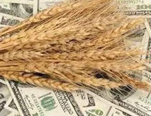 Скорочення агроекспорту посилило тиск на валютний ринок