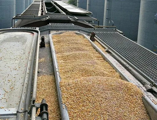 Від початку сезону Україна експортувала понад 3,7 млн тонн зерна