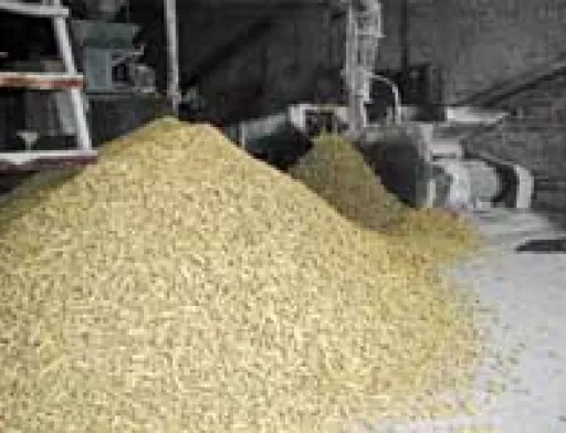 Ринок кормів: прогноз на 2008-2009 маркетинговий рік