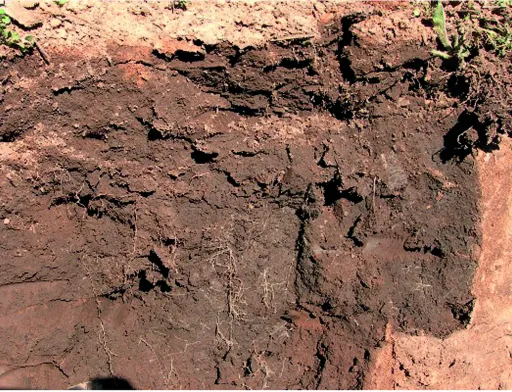 Як уп­рав­ля­ти ущільнен­ням грун­ту за no-till?