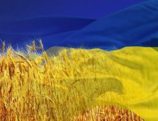 Як змінилися основні показники сільського господарства за 30 років незалежності