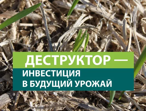 Деструкція стерні - вигідна інвестиція чи пуста трата грошей?