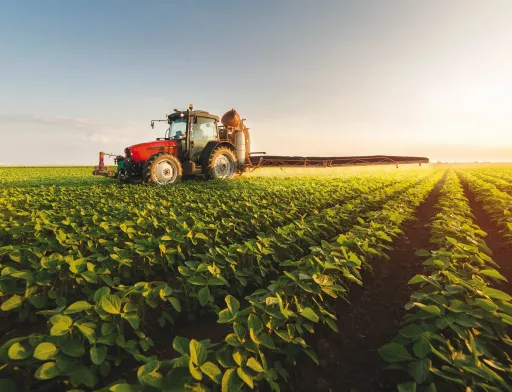 Продукти, що виробляються зі сторічним досвідом