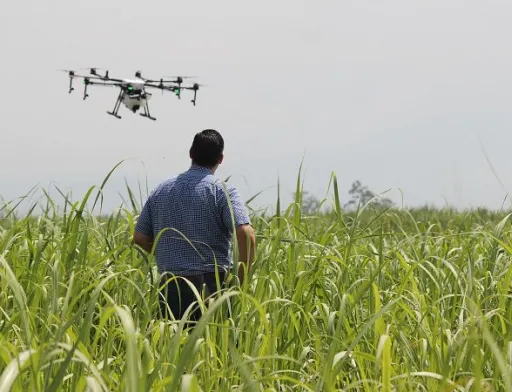 Сучасні тенденції в кадровій політиці агрокомпаній: універсалізація, цифровізація і скорочення