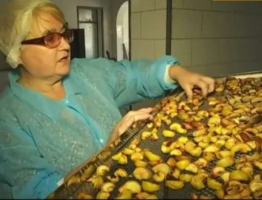 Як на Прикарпатті організували сушіння фруктів і овочів