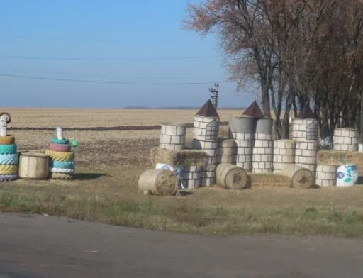 Щойно зібране поле кукурудзи біля в'їзду на територію ФГ
