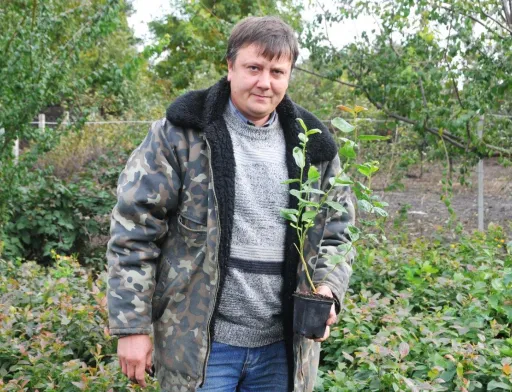 Олег Вагін: «Лохина — на порядок вигідніша і простіша за малину»