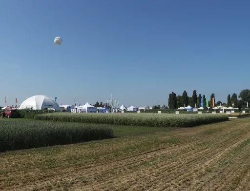 DLG-2019: німецький досвід – Україні