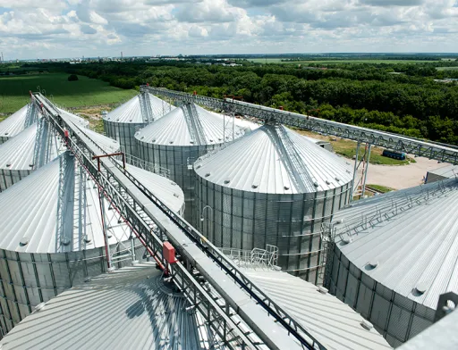 Досвід Бразилії й Канади для українських аграріїв