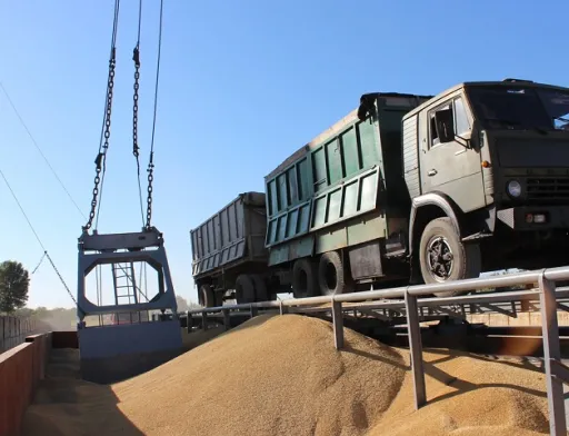 Урожай-2020: які з польових культур виручать виробників?