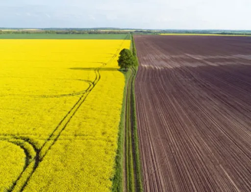 60% голів ОТГ та сільських рад підтримують запровадження обігу земель, - Міністерство економіки