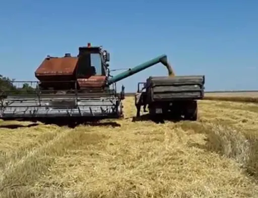 Жнива-2018: українські аграрії зібрали понад 8 млн тонн зерна