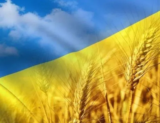 Відвантаження українського зерна з початку 2019/20 МР перевищили 5 млн тон