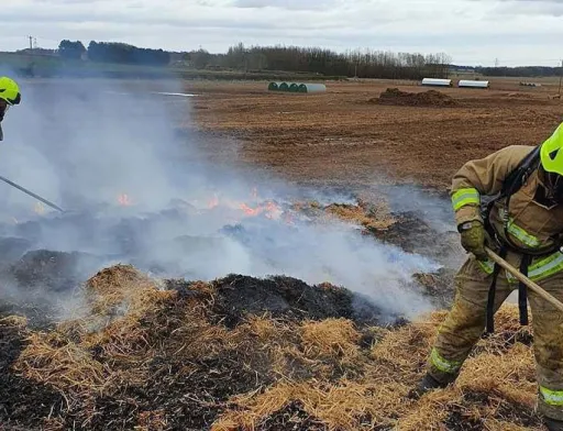 Як свині за допомогою крокоміра спричинили пожежу на фермі