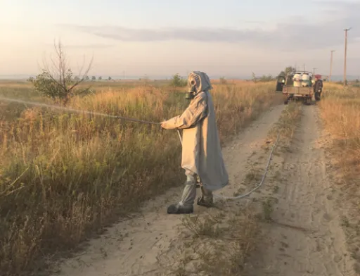 На Луганщині Держпродспоживслужба бореться з нашестям сарани