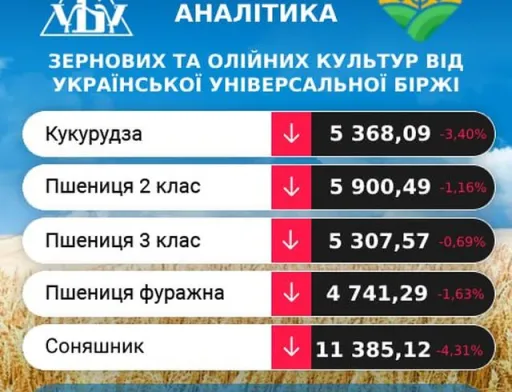 Аналітики очікують ще більшого розриву цін між продовольчим та фуражним зерном