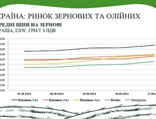 Аналітичний звіт від AgroMarket UUB: ринок зернових та олійних у вересні
