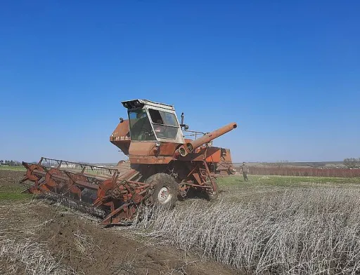 На Івано-Франківщині домолочують торішню сою