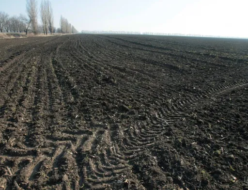 Конституційний суд знов розглядатиме скасування мораторію на продаж земель