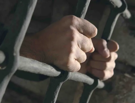 Після тривалої гонитви фермери затримали злодіїв, які скоїли злочин у Братському районі