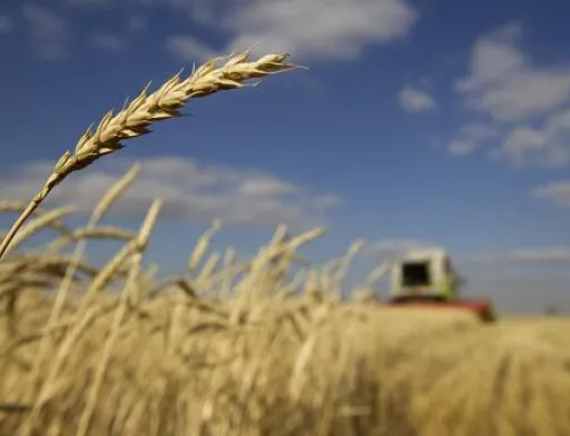 Сільгоспвиробництво в Україні зросло на 4.4%