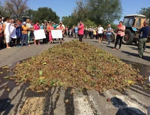 В Одеській області фермери на знак протесту вивантажили на трасу машину винограду