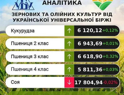 Ціни на кукурудзу та соняшник продемонстрували незначне підвищення, – аналітики