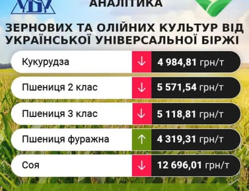 Цінові індикативи зернових та олійних за 18-24 вересня