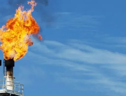 Врятувати посівну: аграрії та хіміки просять газ у кредит для виробництва добрив