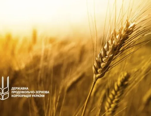 ДПЗКУ запроваджує новий напрямок закупівель зерна врожаю 2021 року