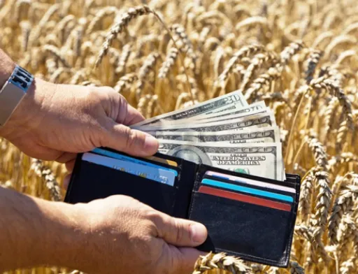 Заробітна плата в сільському господарстві зросла на 24.7%