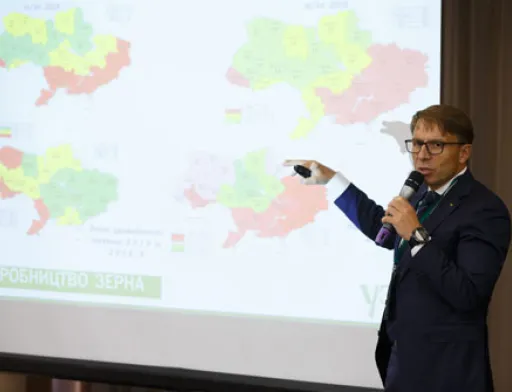 Немає де зберігати. Як і чому українські аграрії втрачають можливості