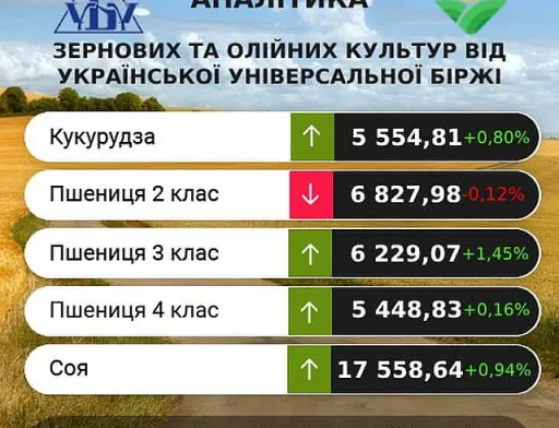 Минулого тижня ціни на зернові та олійні продовжили зростати, – аналітики