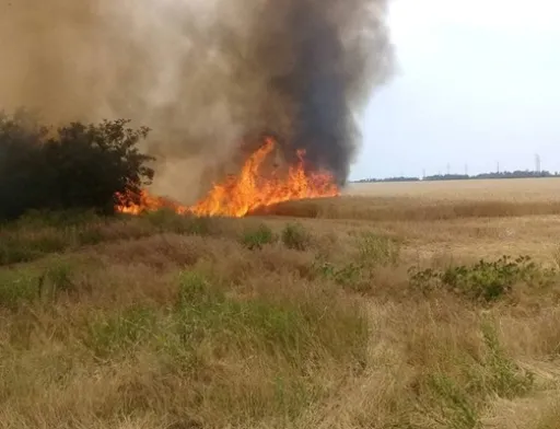На Херсонщині згоріло 170 га пшениці