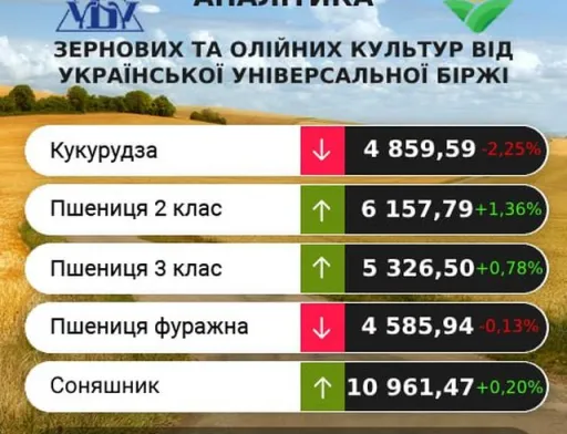 Ціни на пшеницю 2 і 3 класу почали зростати