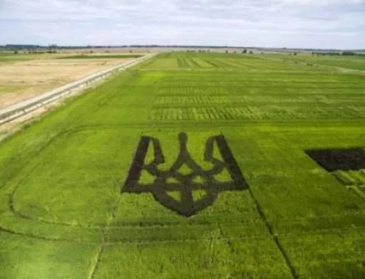 Ринок землі: Чи є ризик того, що українська земля стане російською?