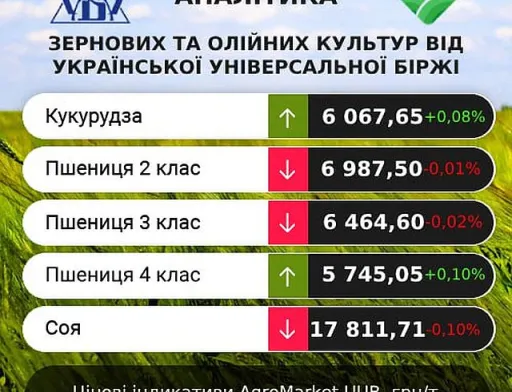 Минулого тижня ринок зернових та олійних залишався стабільним, – аналітики