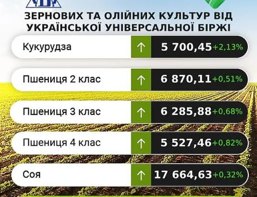 На ринку зернових та олійних очікується незначна тенденція до зниження цін, – аналітики