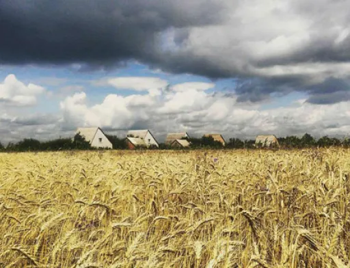 Українська земля буде продаватися тільки для українців, — міністр Милованов
