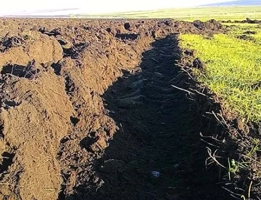 Фермери на Одещині відвойовують землі Тарутинського полігону