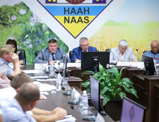 Україна має всі можливості для збільшення виробництва рису, - Шеремета
