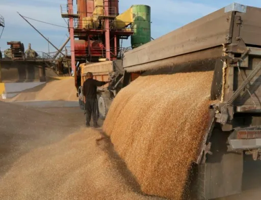 «Логістична пастка»: аграрії не можуть відвантажити продукцію